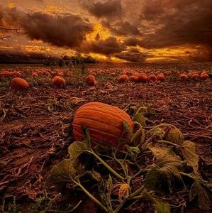 Meet your Posher, Brandy